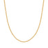 Gold Shiny Curb Necklace