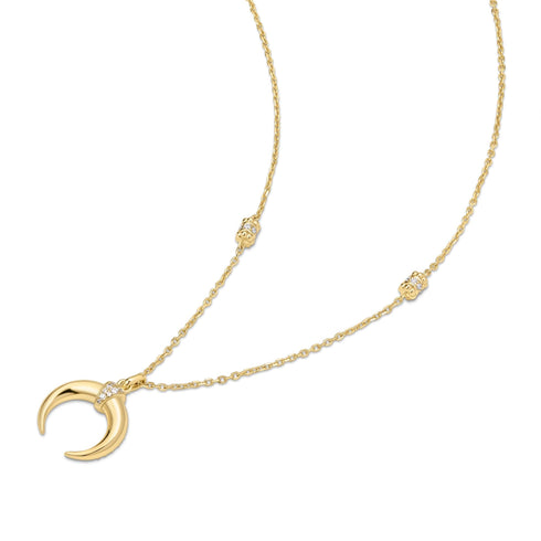 Gold Reversible Horn Necklace