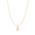 Gold Letter D Initial Necklace
