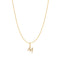 Gold Letter M Initial Necklace