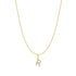 Gold Letter R Initial Necklace